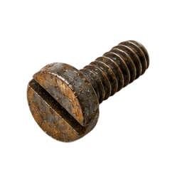 Rusty Slotted Screw