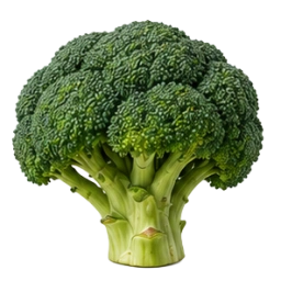 Broccoli
