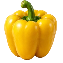 Yellow Bell Pepper