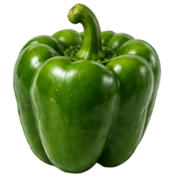 Green Bell Pepper