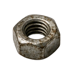 Hex Nut