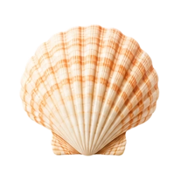 Seashell